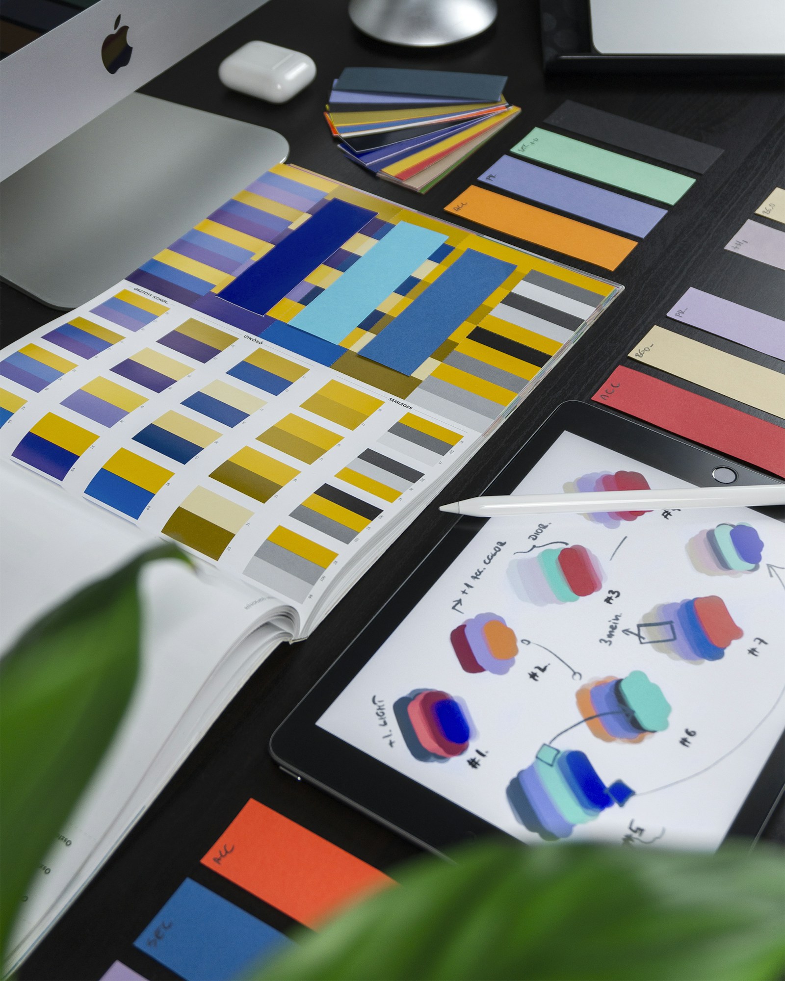Brand design and branding in Puerto Vallarta